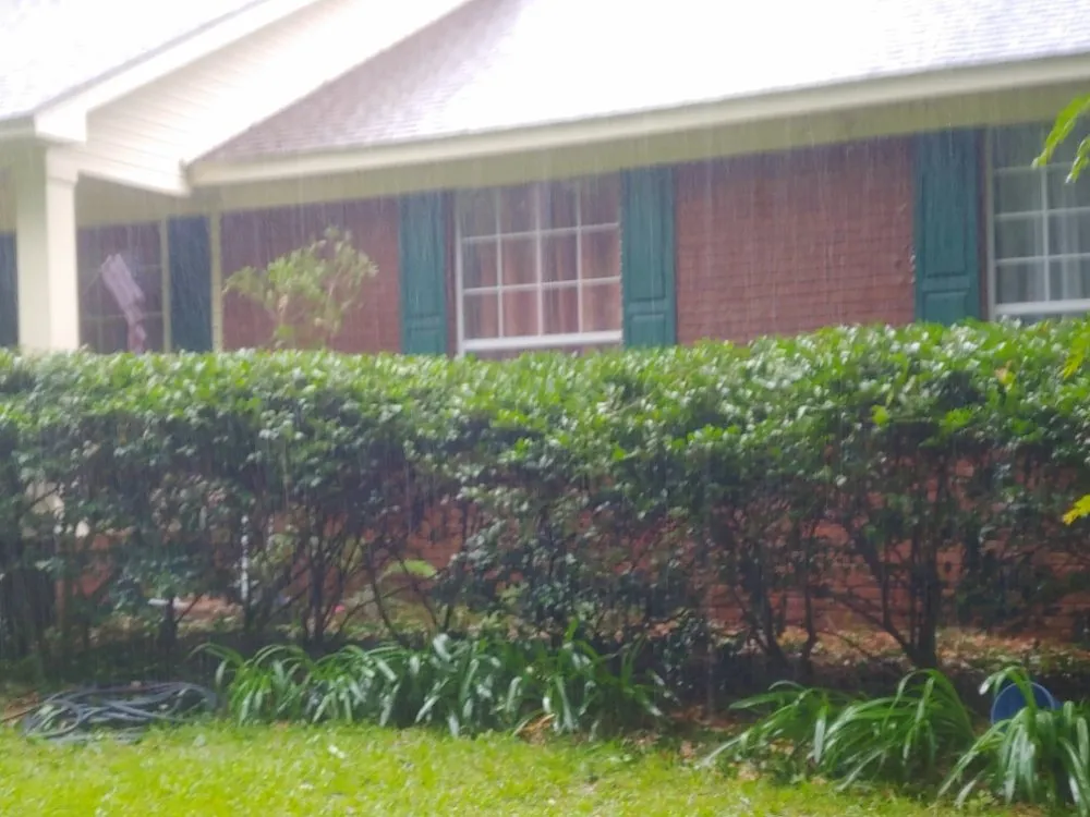 Local residential landscaping near you across Quincy, FL - Manny's mowing service