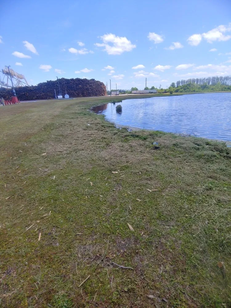 Local landscaping services near you in Quincy, FL by Manny's mowing service