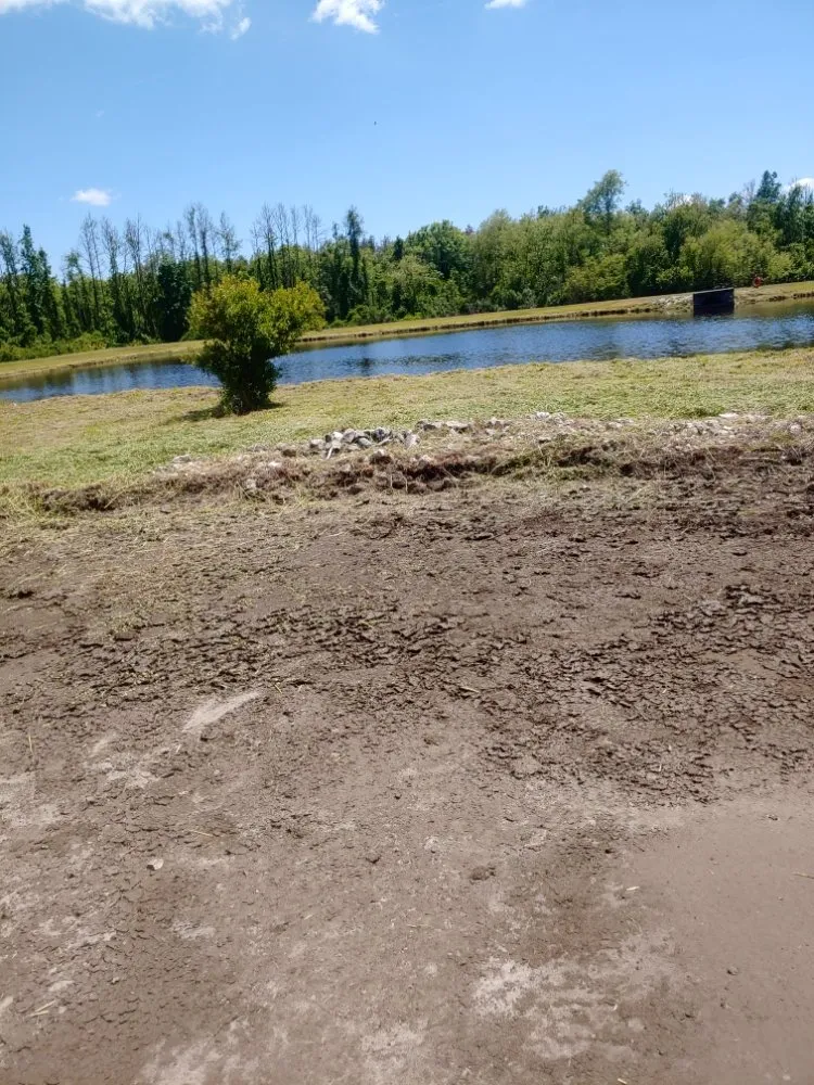 Local yard maintenance for residential properties across Quincy, FL - Manny's mowing service