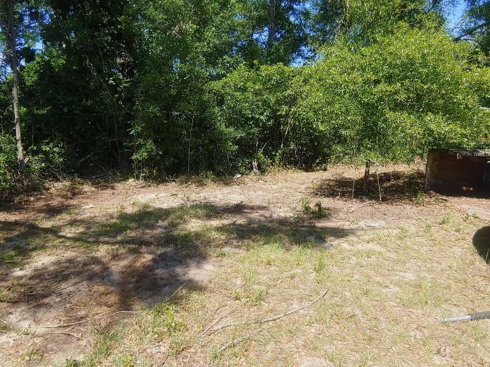 Reliable yard cleanup service for outdoor upgrades across Quincy, FL - Manny's mowing service