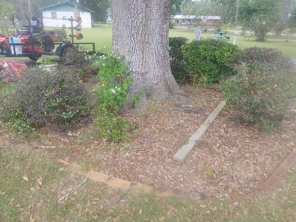 Professional residential landscaping in Quincy, FL by Manny's mowing service