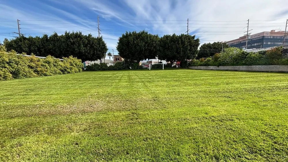 Reliable lawn care service in Long Beach, CA by Manny's Turf Solutions