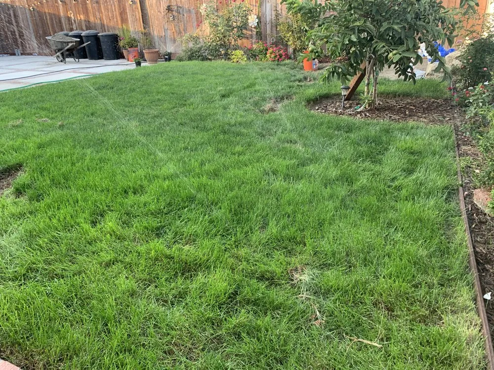 Local landscaping services in Long Beach, CA by Manny's Turf Solutions