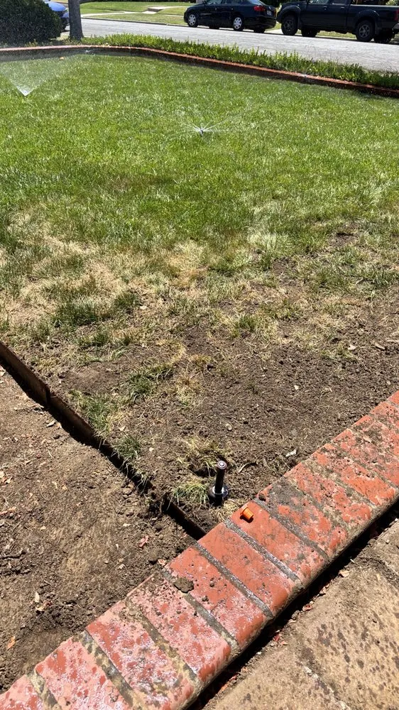 Affordable lawn mowing service near you in Long Beach, CA by Manny's Turf Solutions