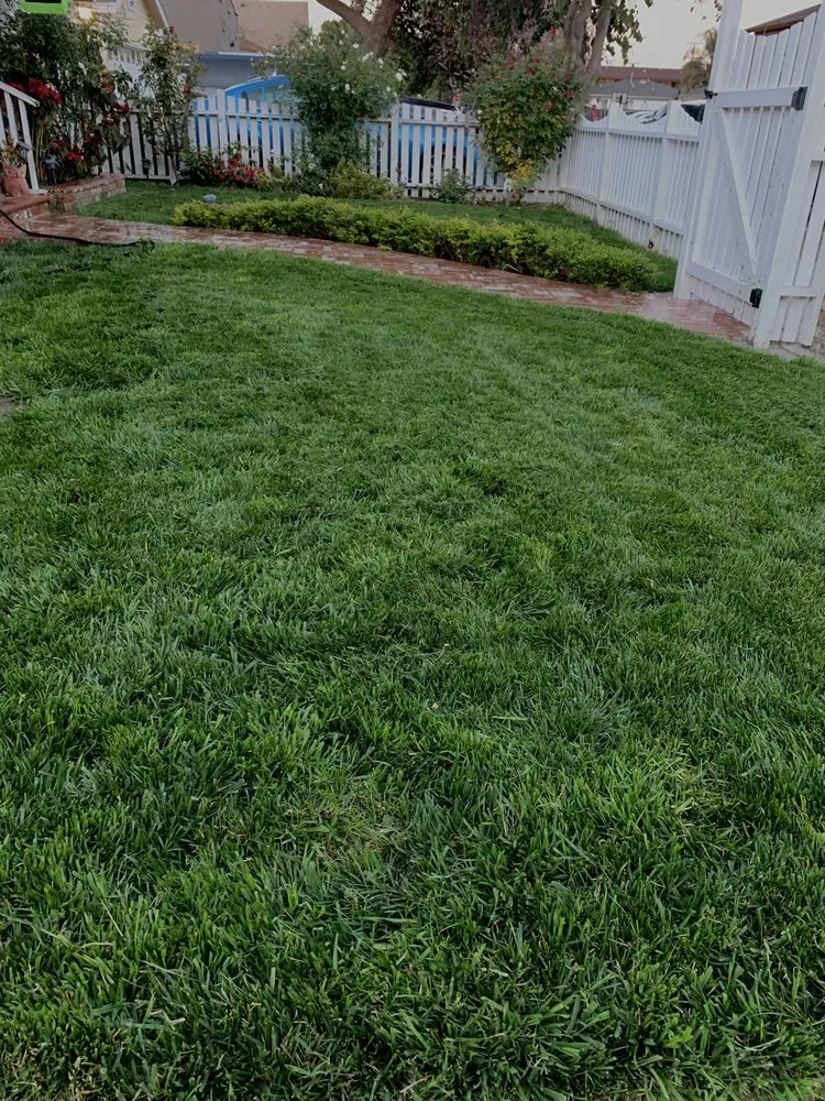 Top-rated garden landscaping in Long Beach, CA - Manny's Turf Solutions