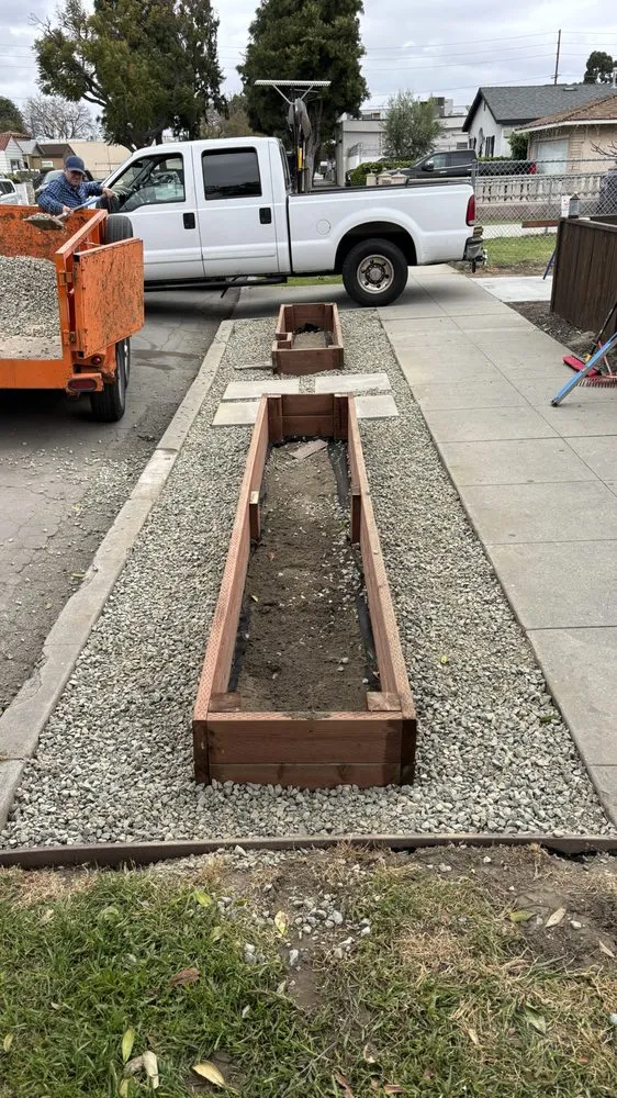 Local outdoor landscaping for year-round maintenance across Long Beach, CA - Manny's Turf Solutions