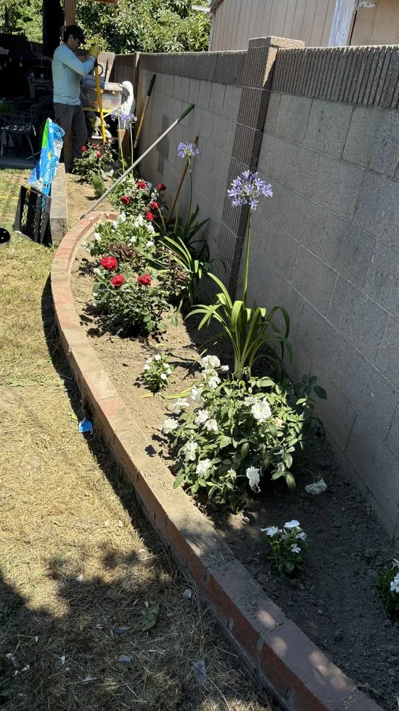 Local landscape design in Long Beach, CA - Manny's Turf Solutions