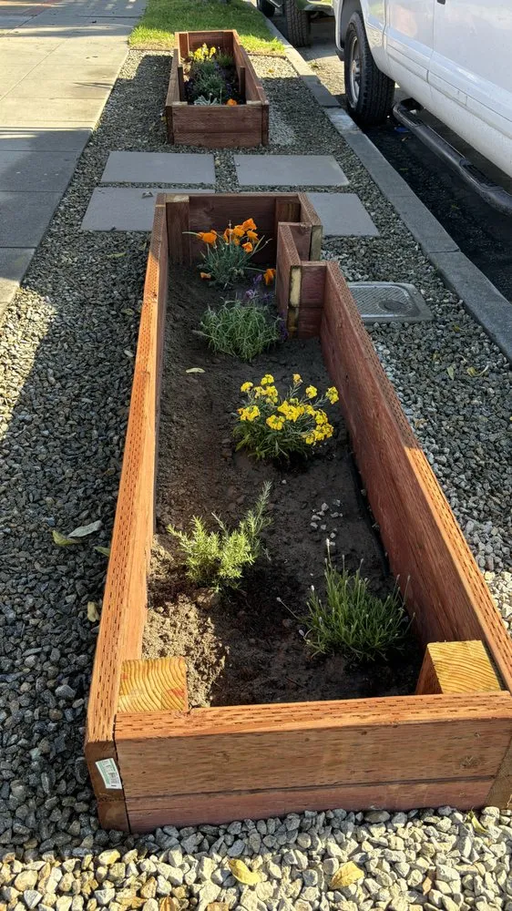 Affordable yard maintenance in Long Beach, CA - Manny's Turf Solutions