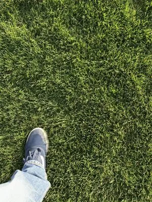 Manny's Turf Solutions Logo