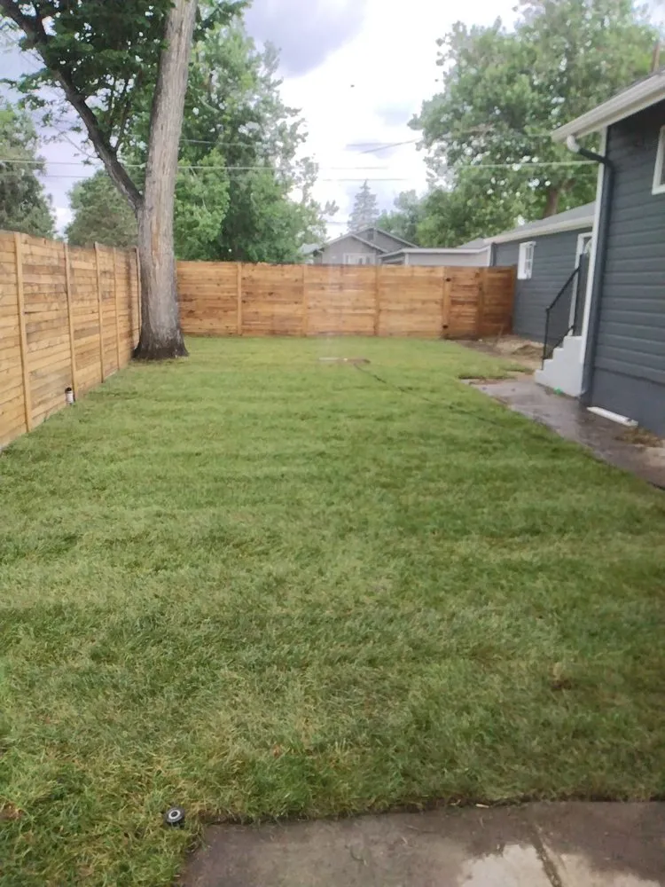 Expert lawn care service for homes in Aurora, CO by Manny’z Fence & Tree’z