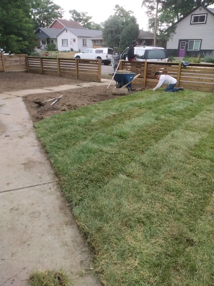 Professional lawn mowing service in Aurora, CO - Manny’z Fence & Tree’z