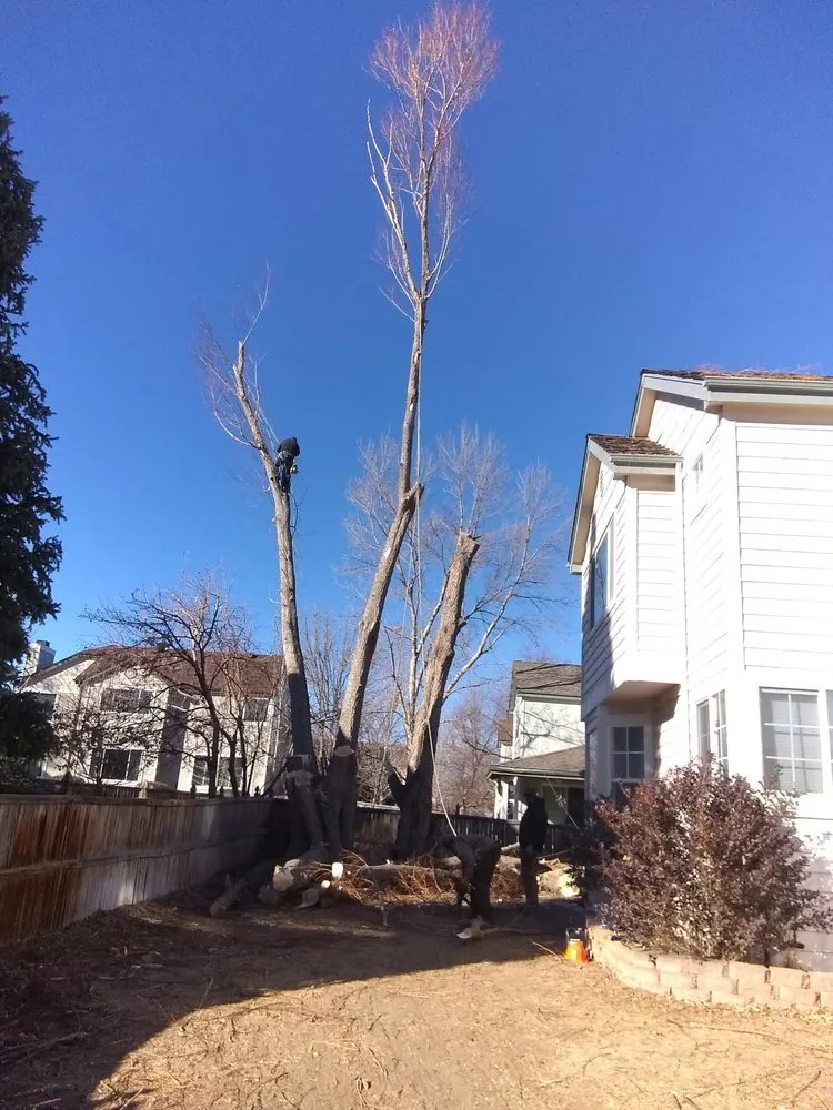 Affordable lawn care service for homes in Aurora, CO by Manny’z Fence & Tree’z