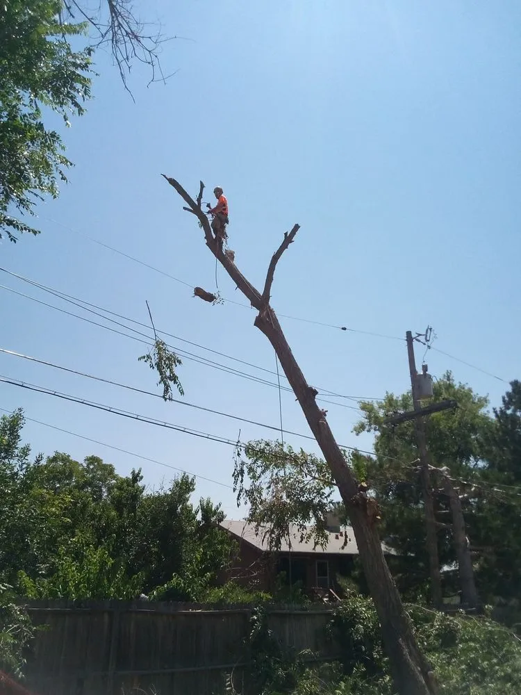 Expert residential landscaping experts serving Aurora, CO - Manny’z Fence & Tree’z