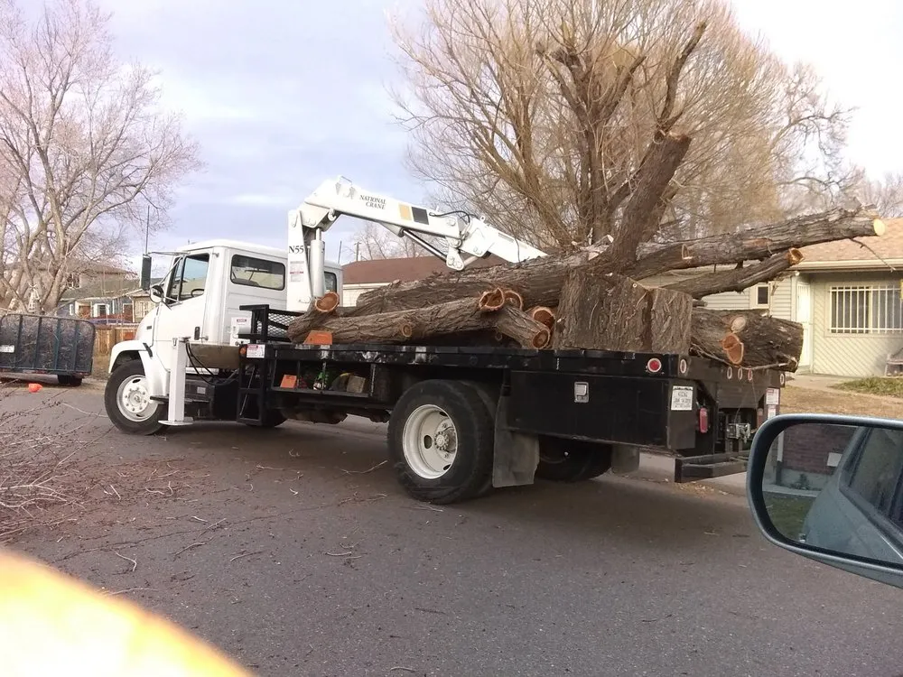 Affordable landscape installation with custom design in Aurora, CO by Manny’z Fence & Tree’z
