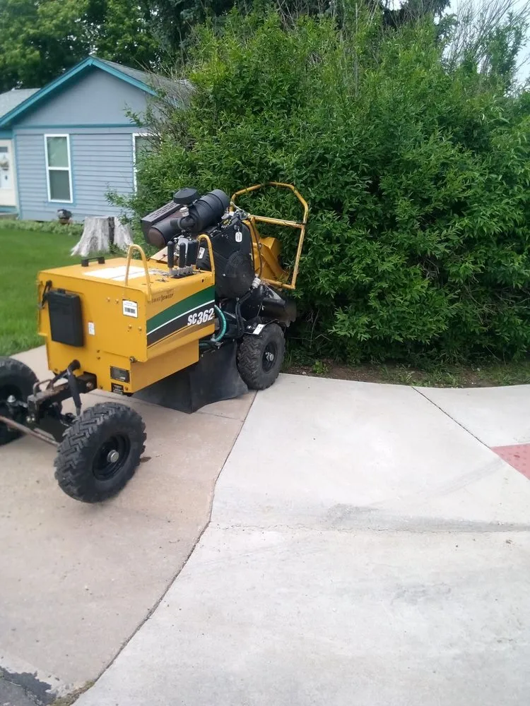 Reliable yard cleanup service in Aurora, CO by Manny’z Fence & Tree’z