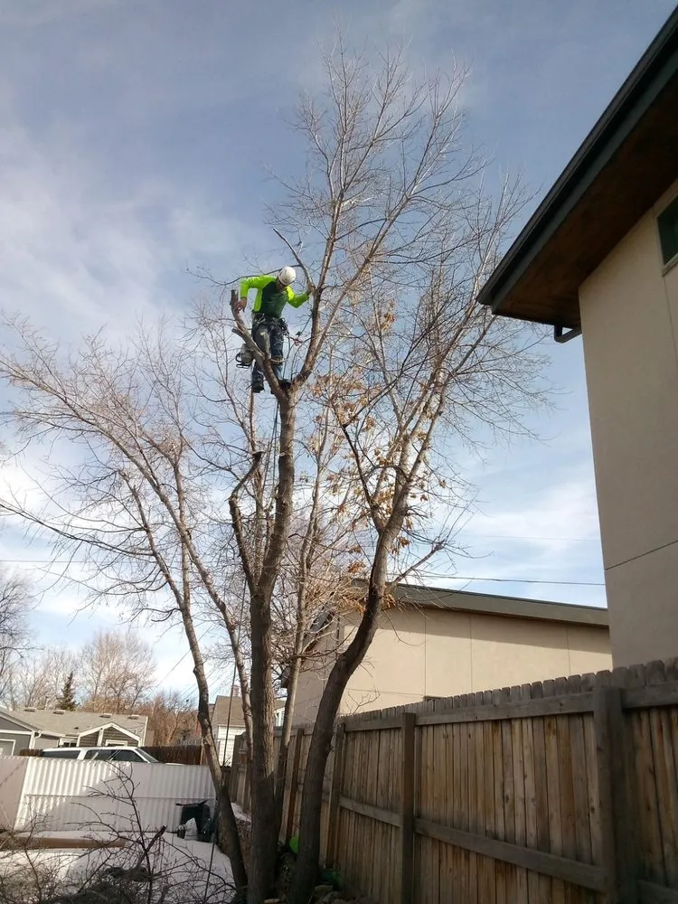 Reliable residential landscaping for outdoor upgrades across Aurora, CO - Manny’z Fence & Tree’z