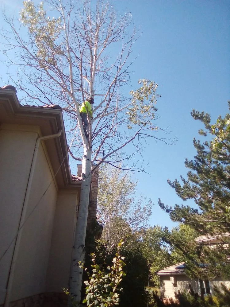 Trusted residential landscaping in Aurora, CO - Manny’z Fence & Tree’z