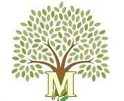 Professional outdoor landscaping for year-round maintenance across Jackson, MS - Manogin and Younger Lawn Service