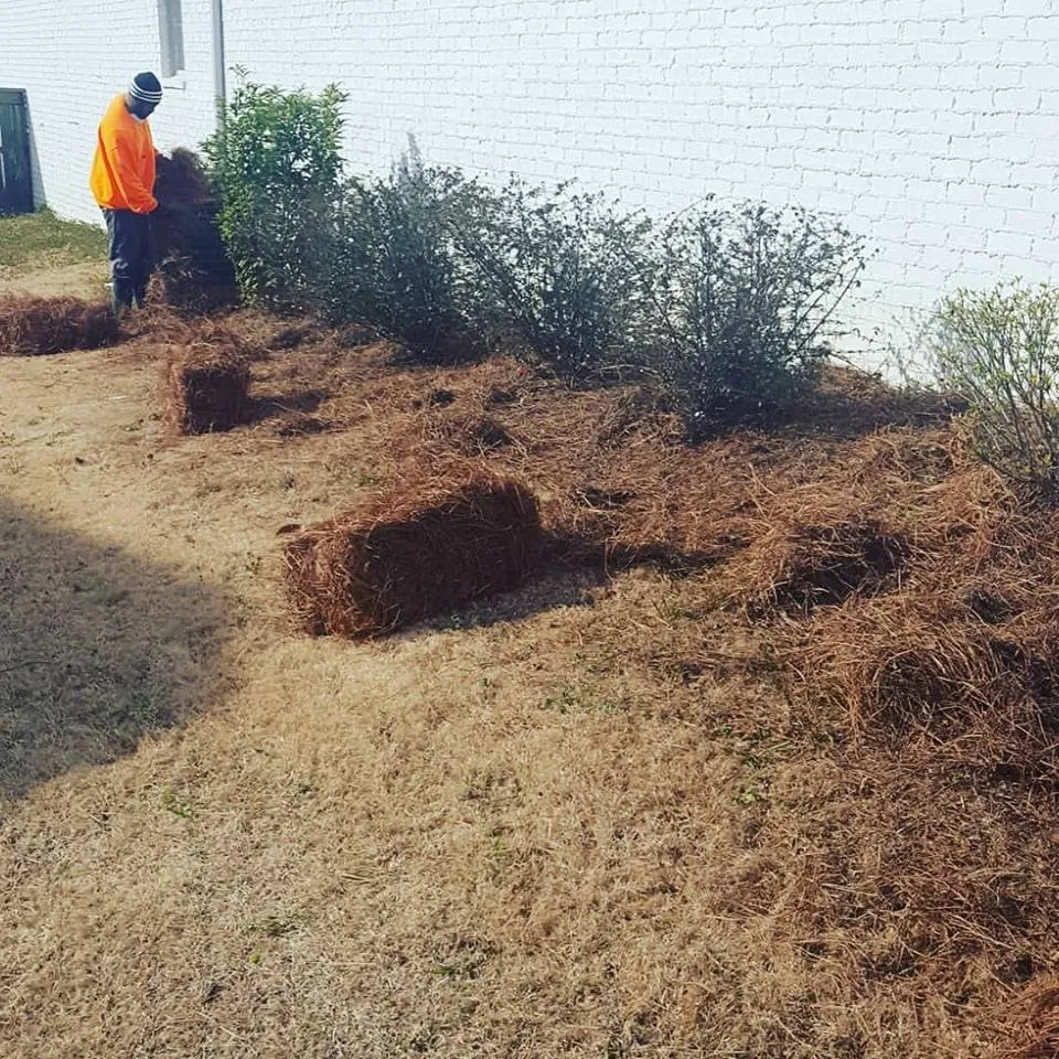 Affordable landscape installation in Jackson, MS - Manogin and Younger Lawn Service