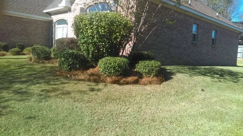 Local landscaping services with custom design across Jackson, MS - Manogin and Younger Lawn Service