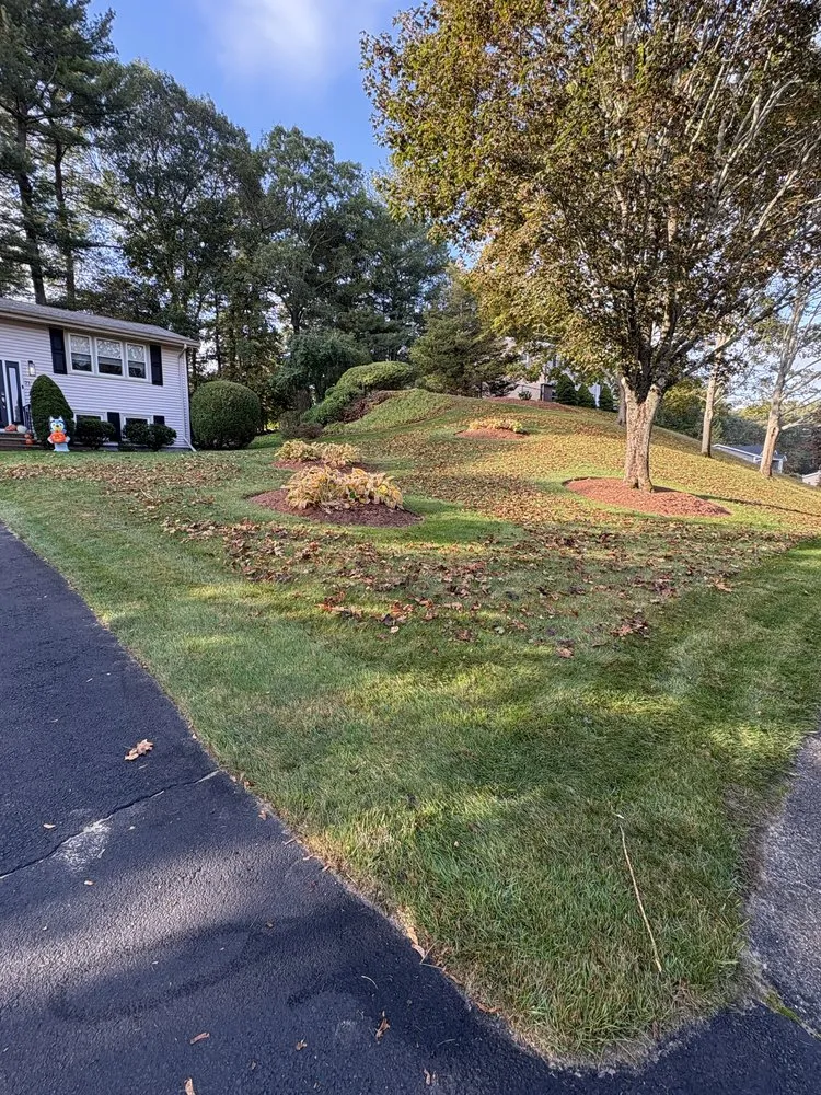 Trusted yard maintenance in Lynn, MA - Manolos Landscaping