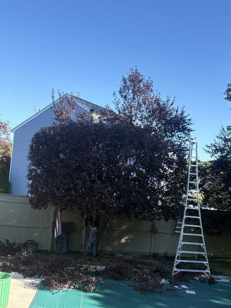 Professional landscape installation experts serving Lynn, MA - Manolos Landscaping