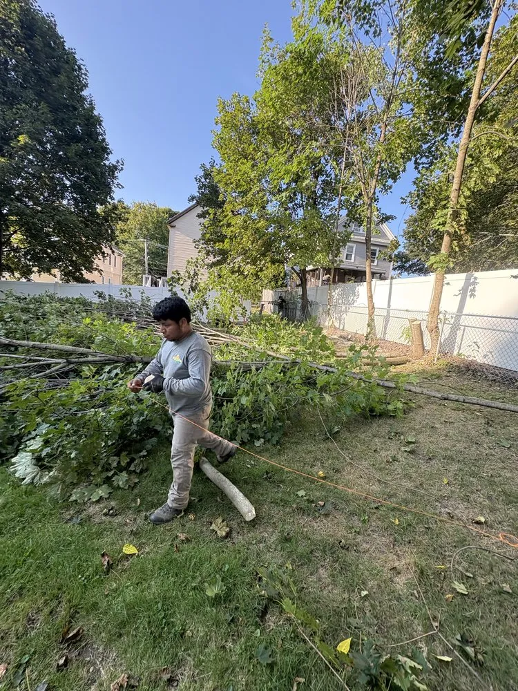 Professional outdoor landscaping experts serving Lynn, MA - Manolos Landscaping