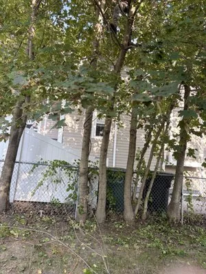 Manolos Landscaping Logo