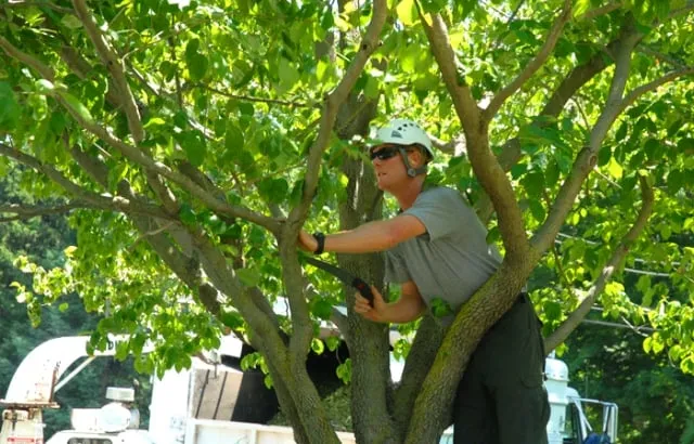 Trusted landscape installation for year-round maintenance across Waterford Charter Township, MI - Manpower Plus Machines
