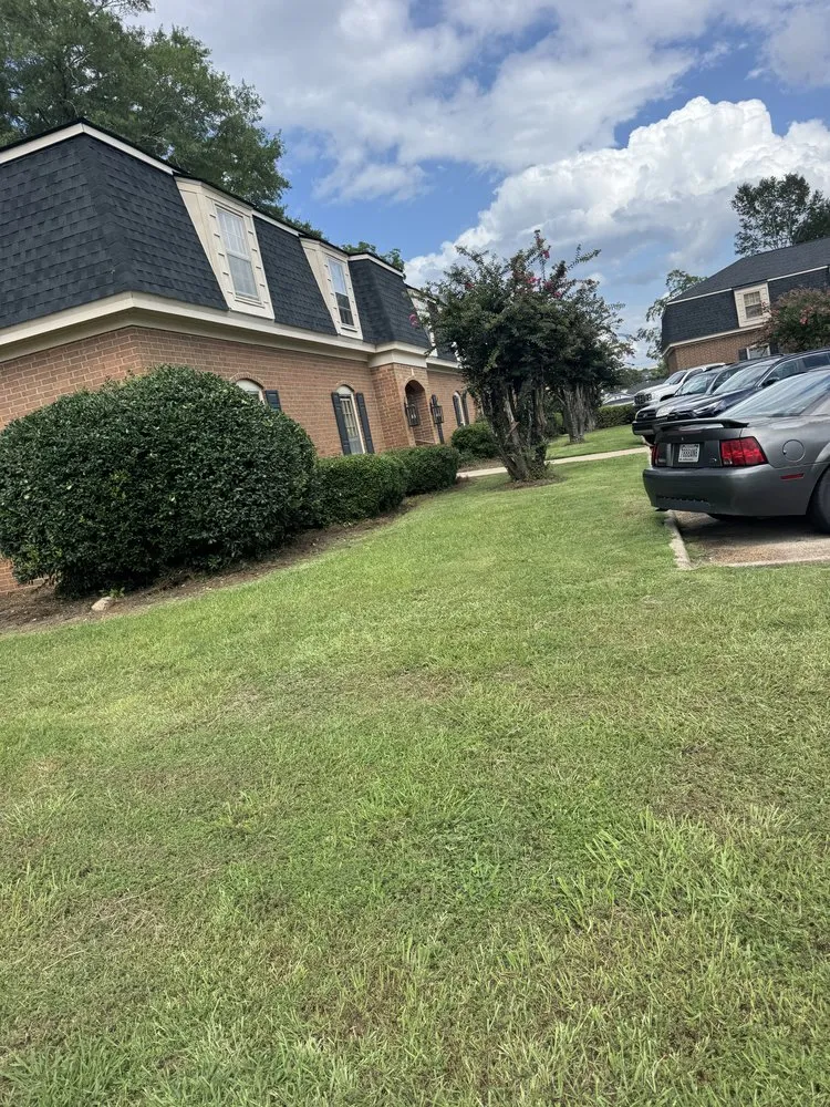 Expert lawn care service near you in LaGrange, GA by Man's Asap landscaping And Handyman Services