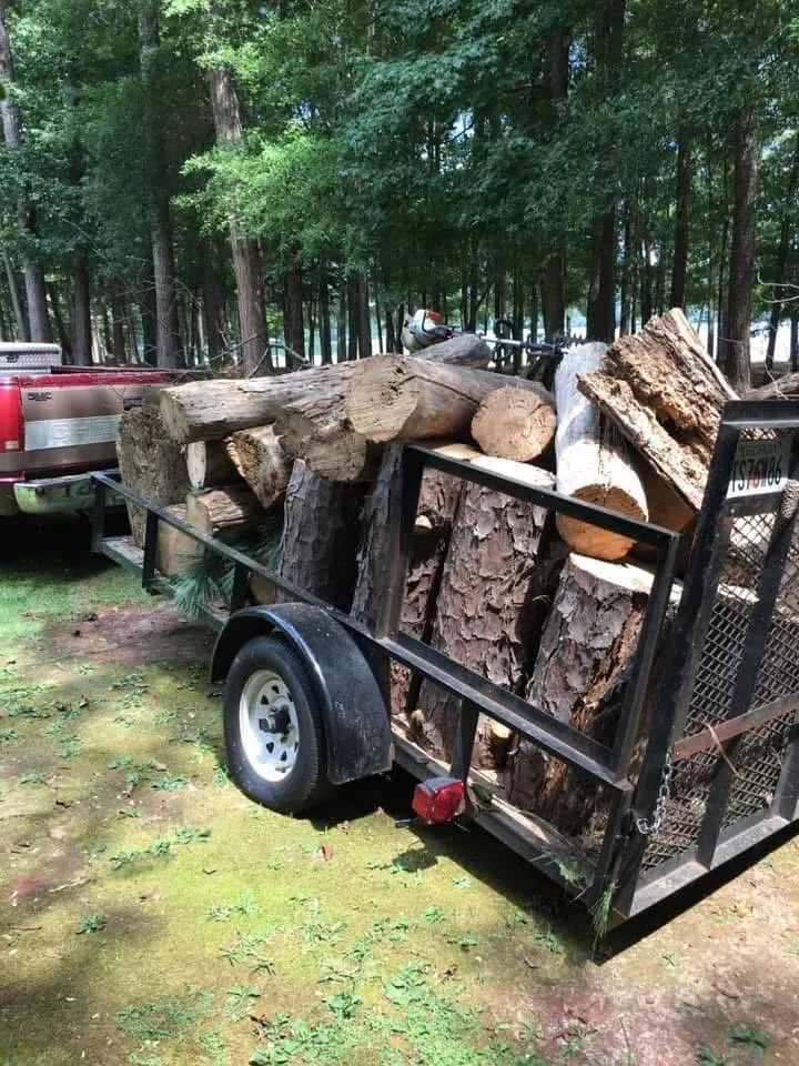 Local landscape design for beautiful yards across LaGrange, GA - Man's Asap landscaping And Handyman Services
