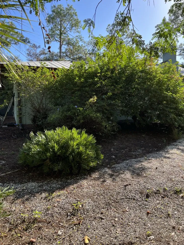 Reliable landscape design in Naples, FL - Mans Handy-Man Services