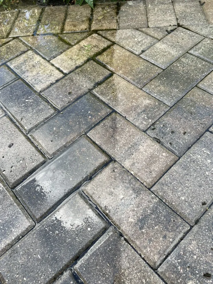 Affordable garden landscaping in Naples, FL by Mans Handy-Man Services