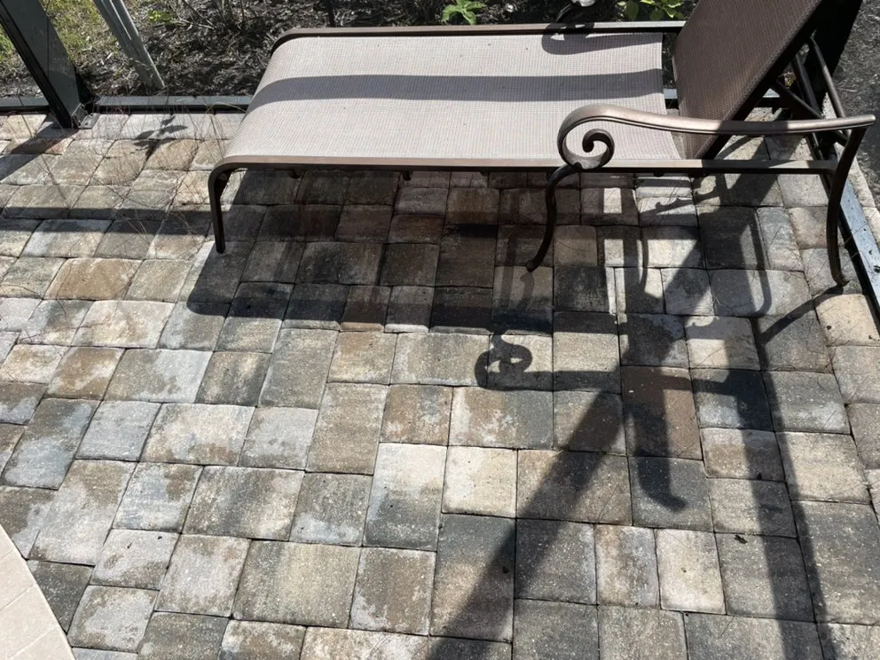 Professional outdoor landscaping in Naples, FL by Mans Handy-Man Services