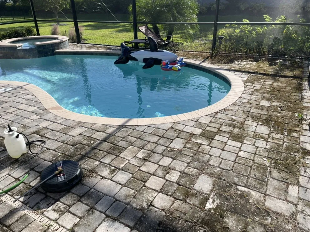 Custom lawn care service with custom design across Naples, FL - Mans Handy-Man Services