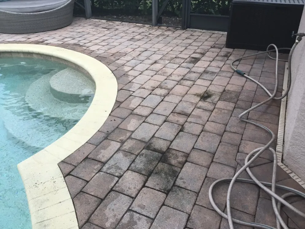 Top-rated lawn care service in Naples, FL by Mans Handy-Man Services