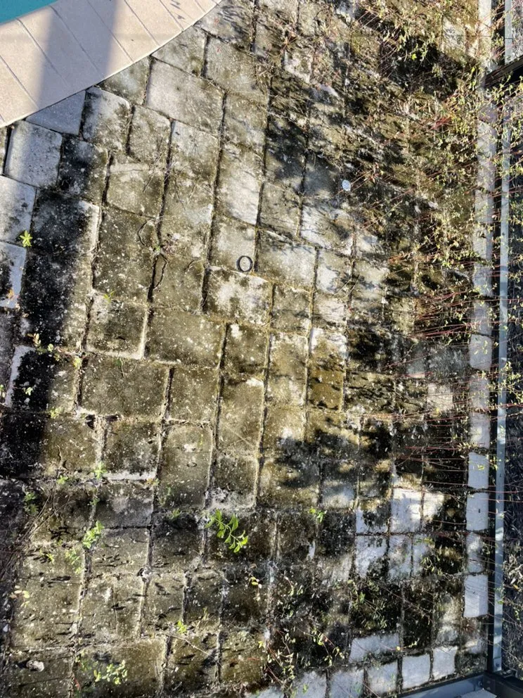 Professional residential landscaping in Naples, FL - Mans Handy-Man Services