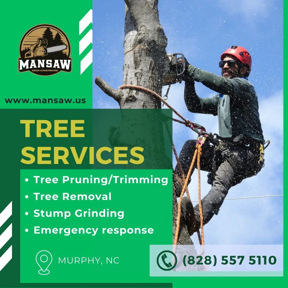 Local lawn mowing service experts serving Murphy, NC - Mansaw