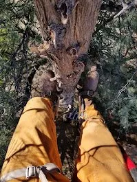 Affordable landscaping services for homes in Murphy, NC by Mansaw