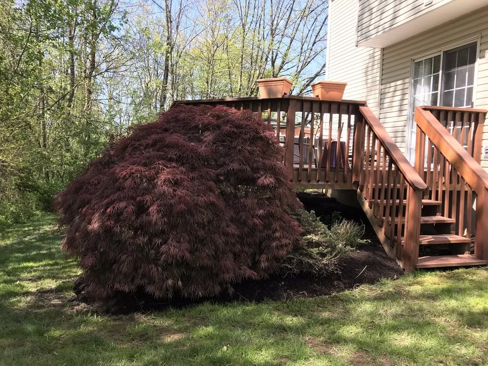 Reliable landscape design for homes in Line Lexington, PA by Manscapers landscaping