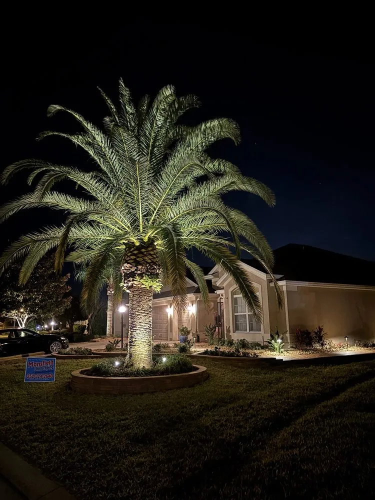 Top-rated garden landscaping for homes across Yalaha, FL - Mansfield Landscaping