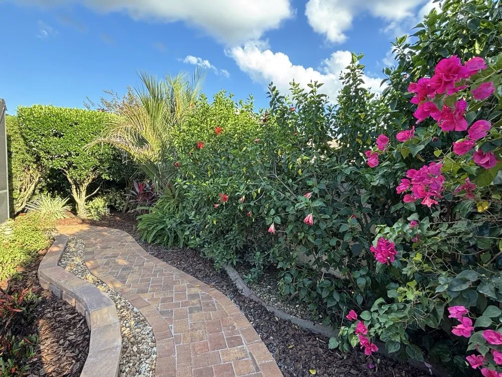 Professional yard cleanup service in Yalaha, FL by Mansfield Landscaping