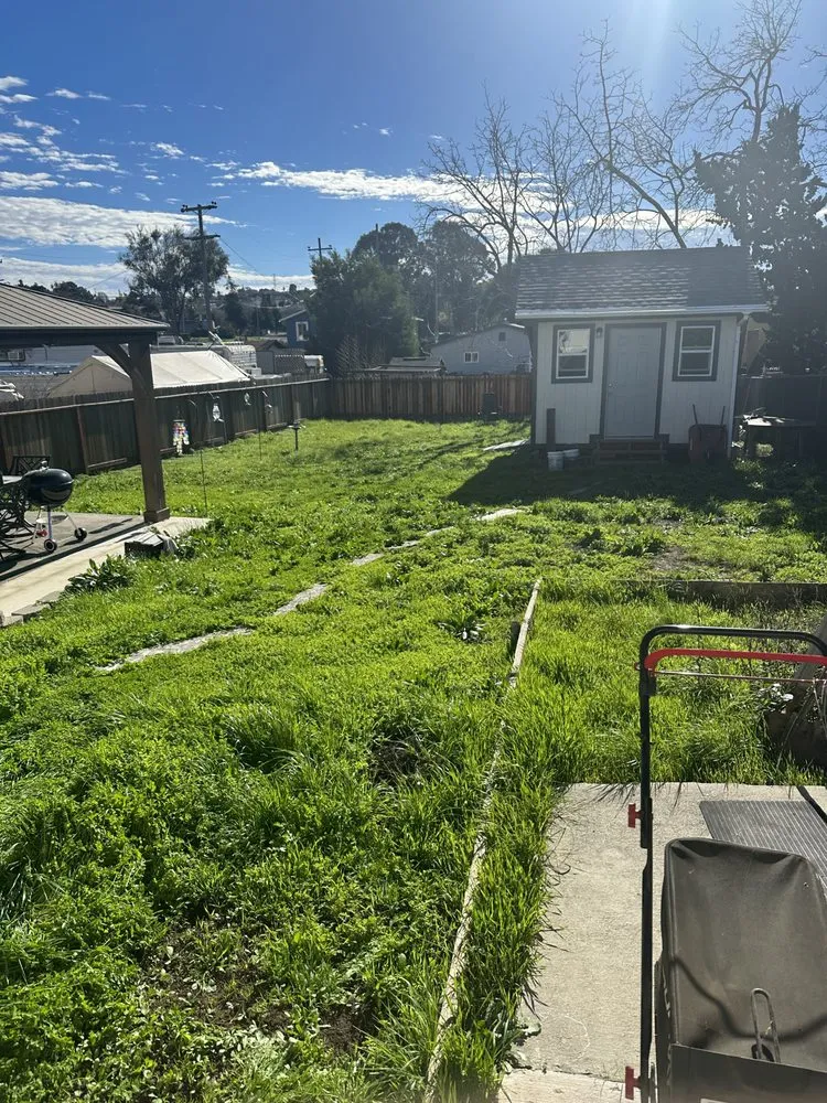 Custom landscape installation in Vallejo, CA - Mantasic Cleaning Service