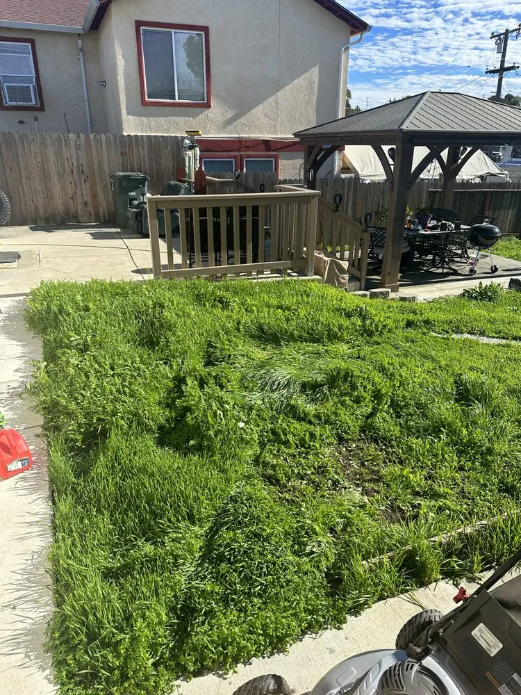 Expert landscape design experts serving Vallejo, CA - Mantasic Cleaning Service