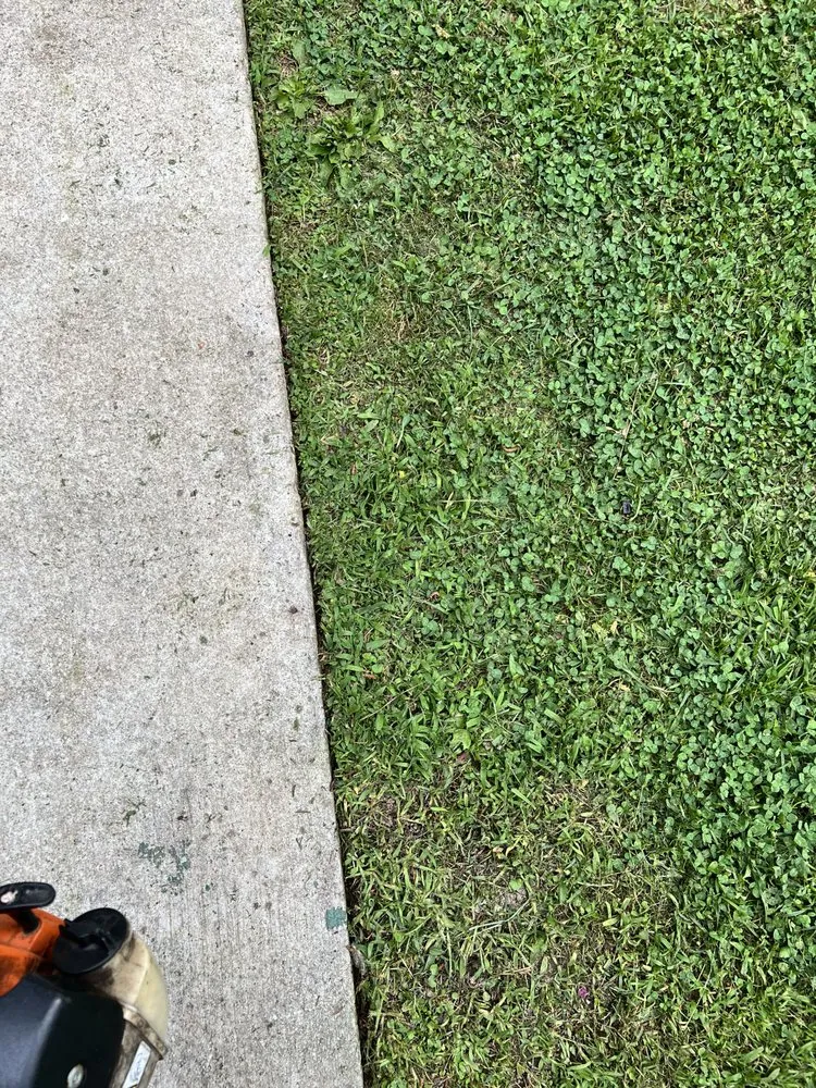 Affordable residential landscaping for residential properties in Austell, GA by Mante Landscaping