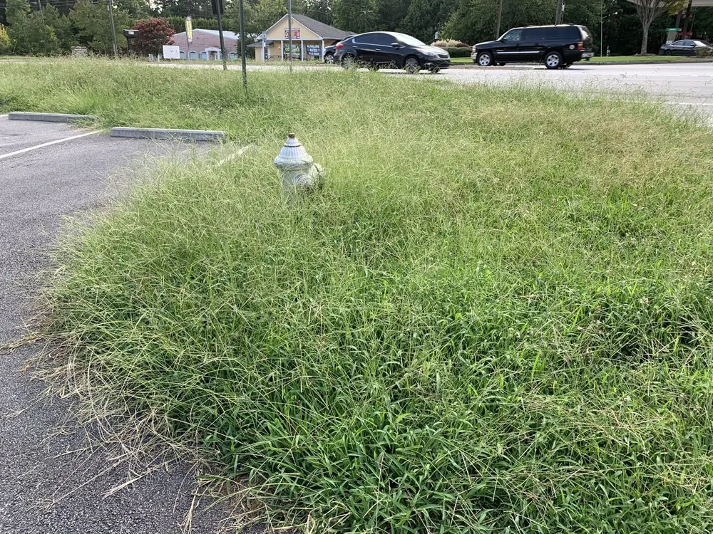 Expert outdoor landscaping experts serving Austell, GA - Mante Landscaping