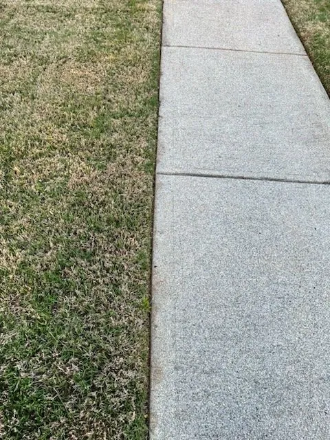 Affordable residential landscaping experts serving Austell, GA - Mante Landscaping