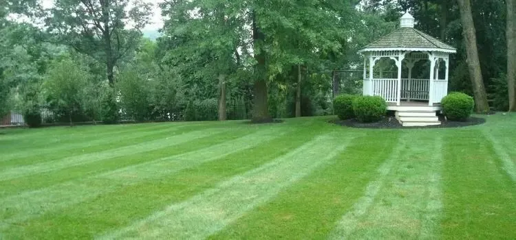 Custom yard cleanup service in Austell, GA by Mante Landscaping