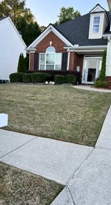 Mante Landscaping Logo