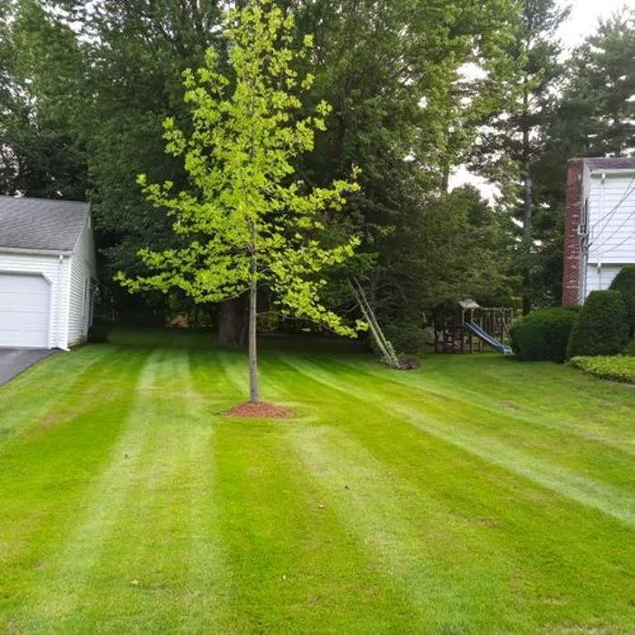 Professional outdoor landscaping for homes in Worcester, MA by Mantena Landscaping